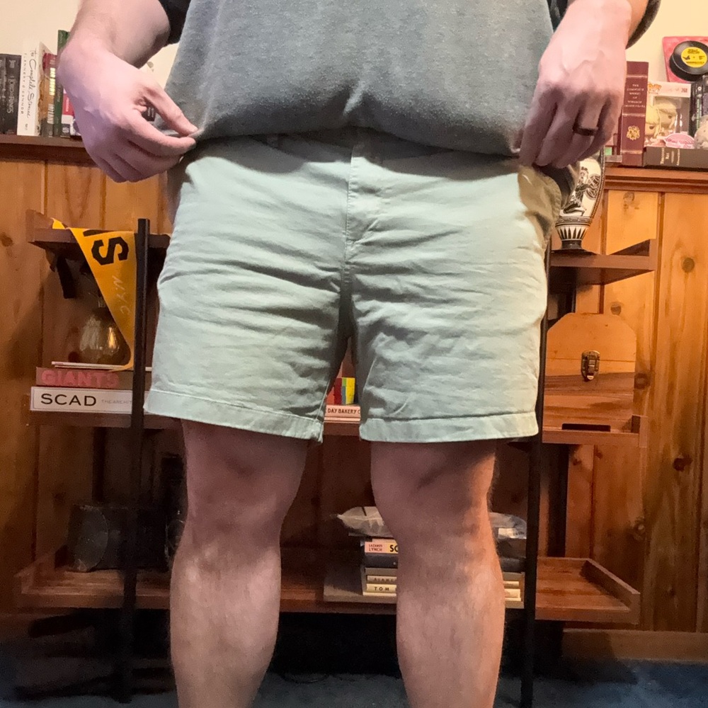 Chubbies Classic 5.5” Shorts